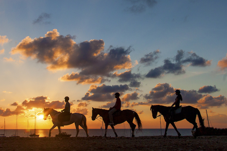 paardrijden op Formentera