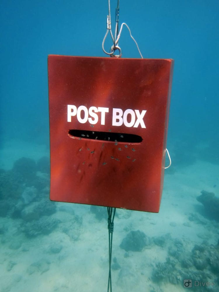 Underwater post box. Credit: Marine Conservation Society Seychelles (MCSS).