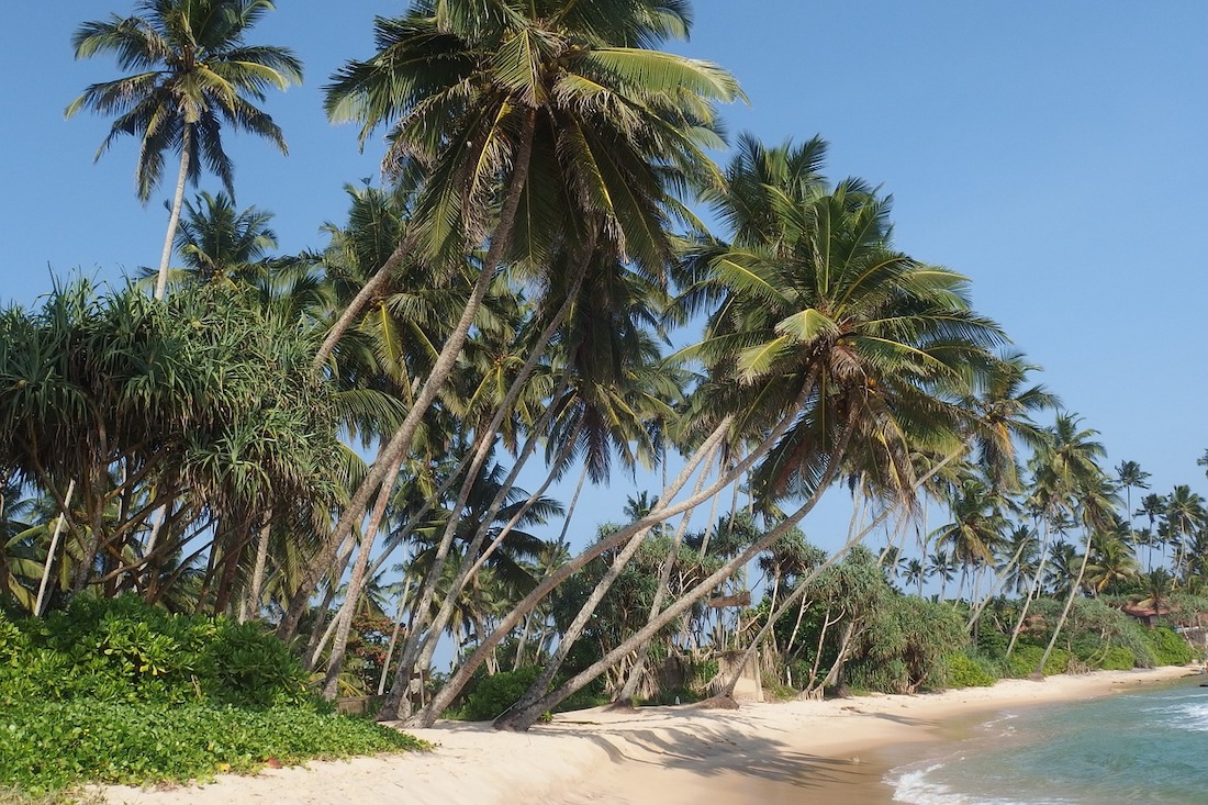 5 redenen voor een vakantie naar Sri Lanka
