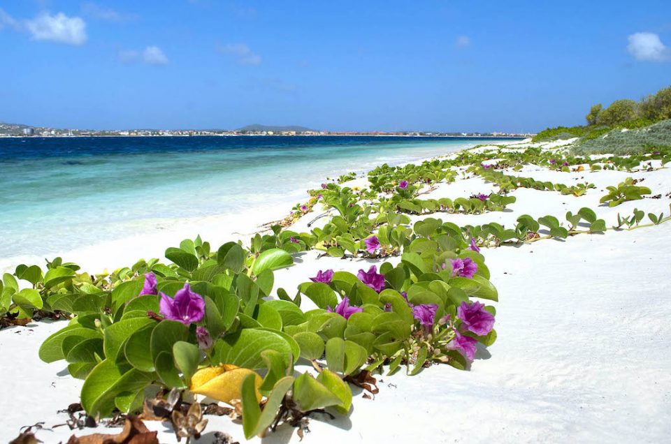 Top 10 dingen om te doen in Bonaire