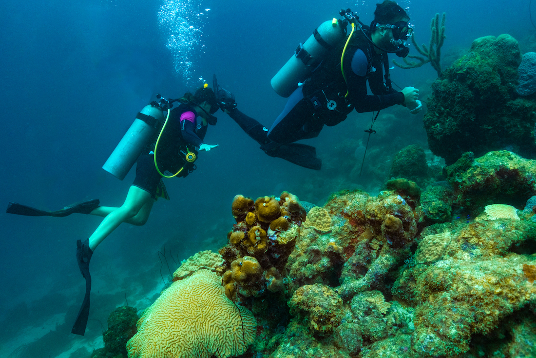 8 mooie duikspots op Aruba
