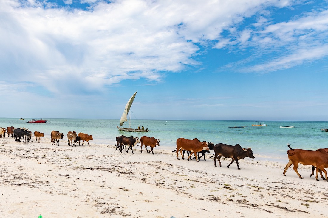 5 redenen voor een vakantie naar Zanzibar