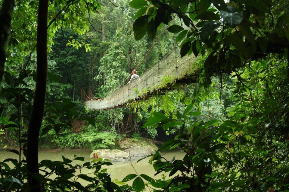 5 x doen op Sabah: het hart van Borneo