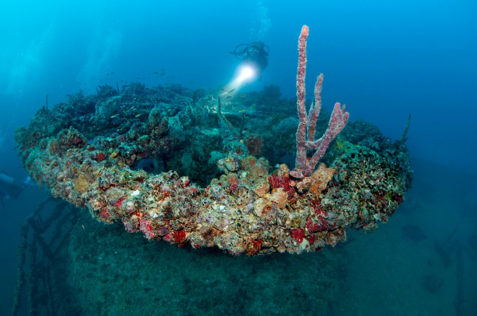 Florida Keys en Key West: een paradijs voor duikers