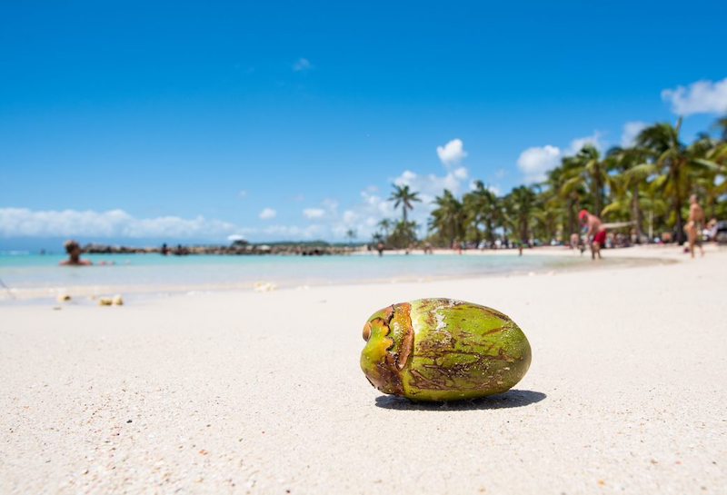 coco plage Guadeloupe