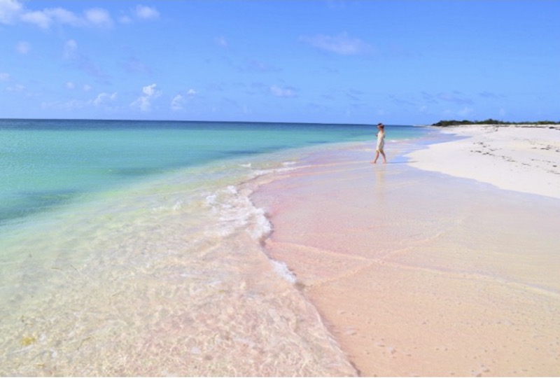 Barbuda’s Pink Beach