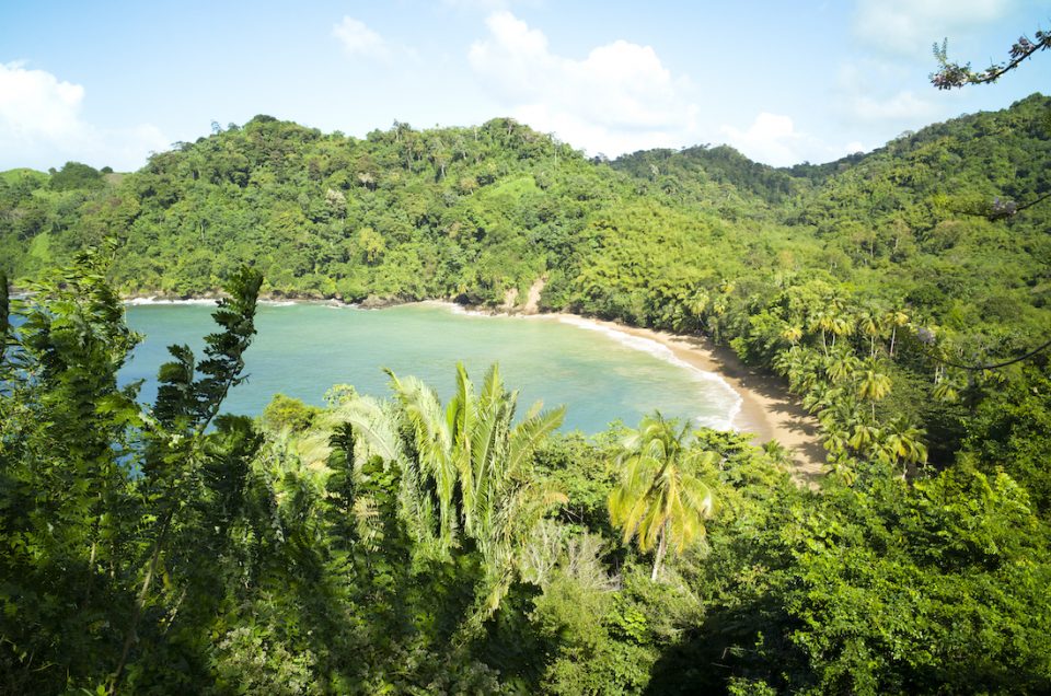 De negen beste plekken om te snorkelen in Tobago