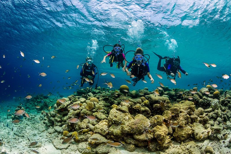 Bonaire duiken