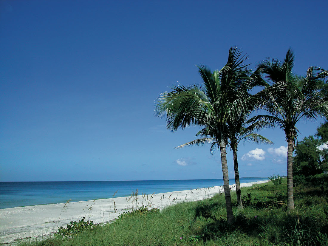 Fort Myers: 10 tips voor het eilandparadijs in Zuidwest-Florida