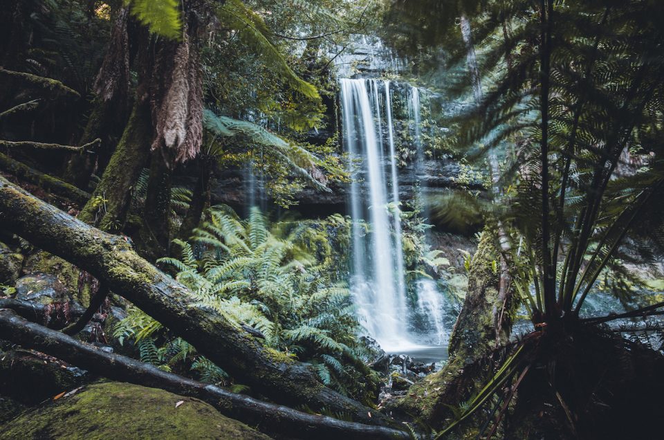 Tien buitengewone feiten over Tasmanië