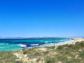 7 stranden vol "zon en zand" op Formentera