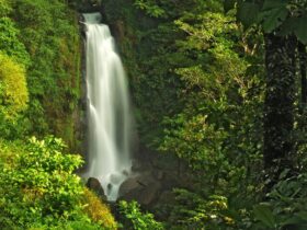 5 x de mooiste watervallen in Dominica
