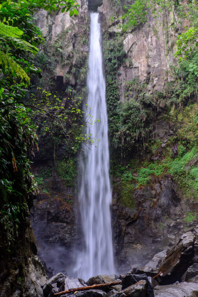 Sari Sari Falls dominica
