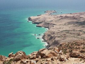 Mysterieuze Socotra - een eilandwereld op zich