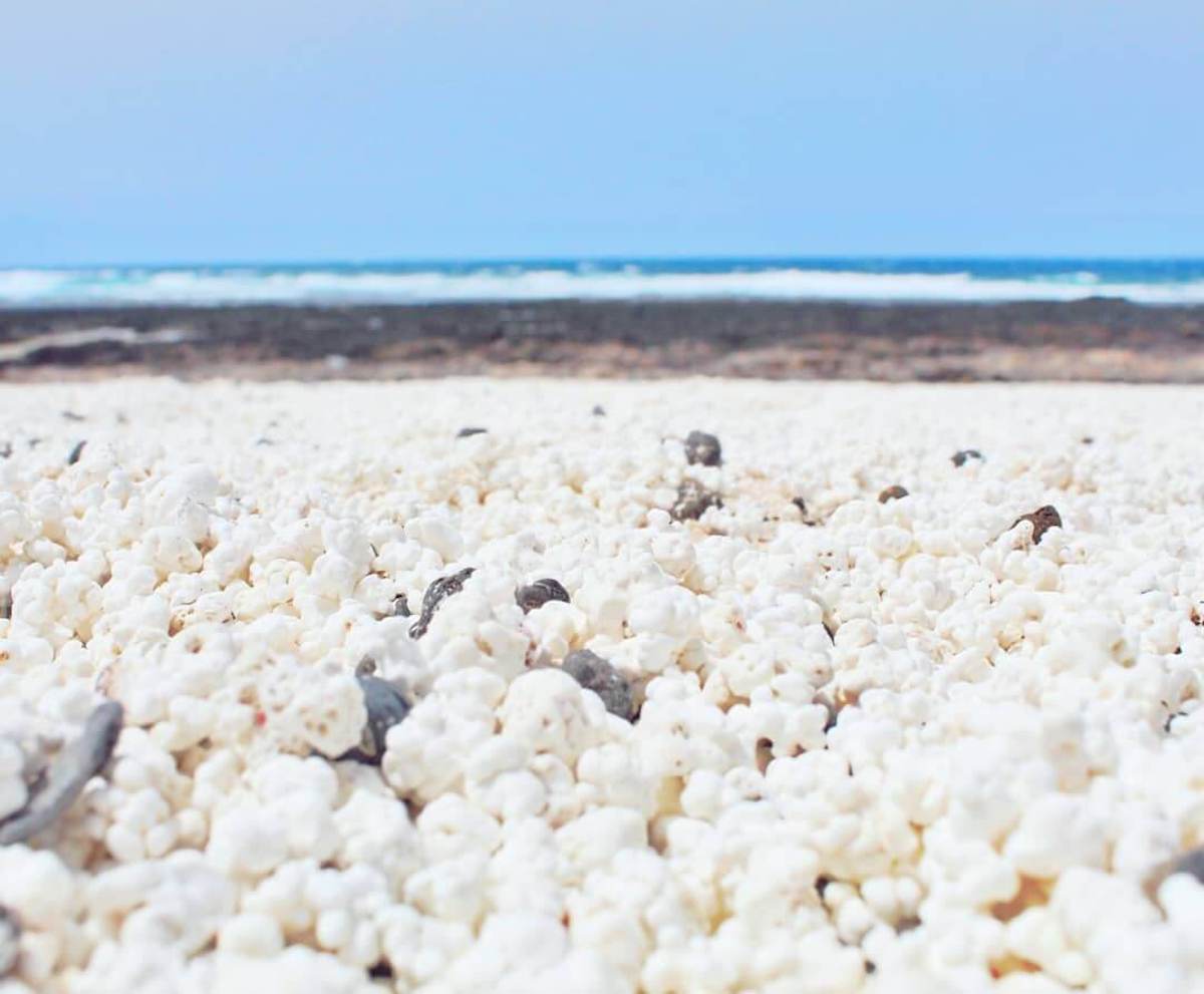 Een strand gaat de wereld rond: het verhaal van Popcorn Beach op de Canarische Eilanden