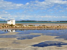 Ses Salines