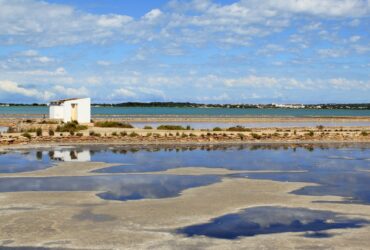 Ses Salines