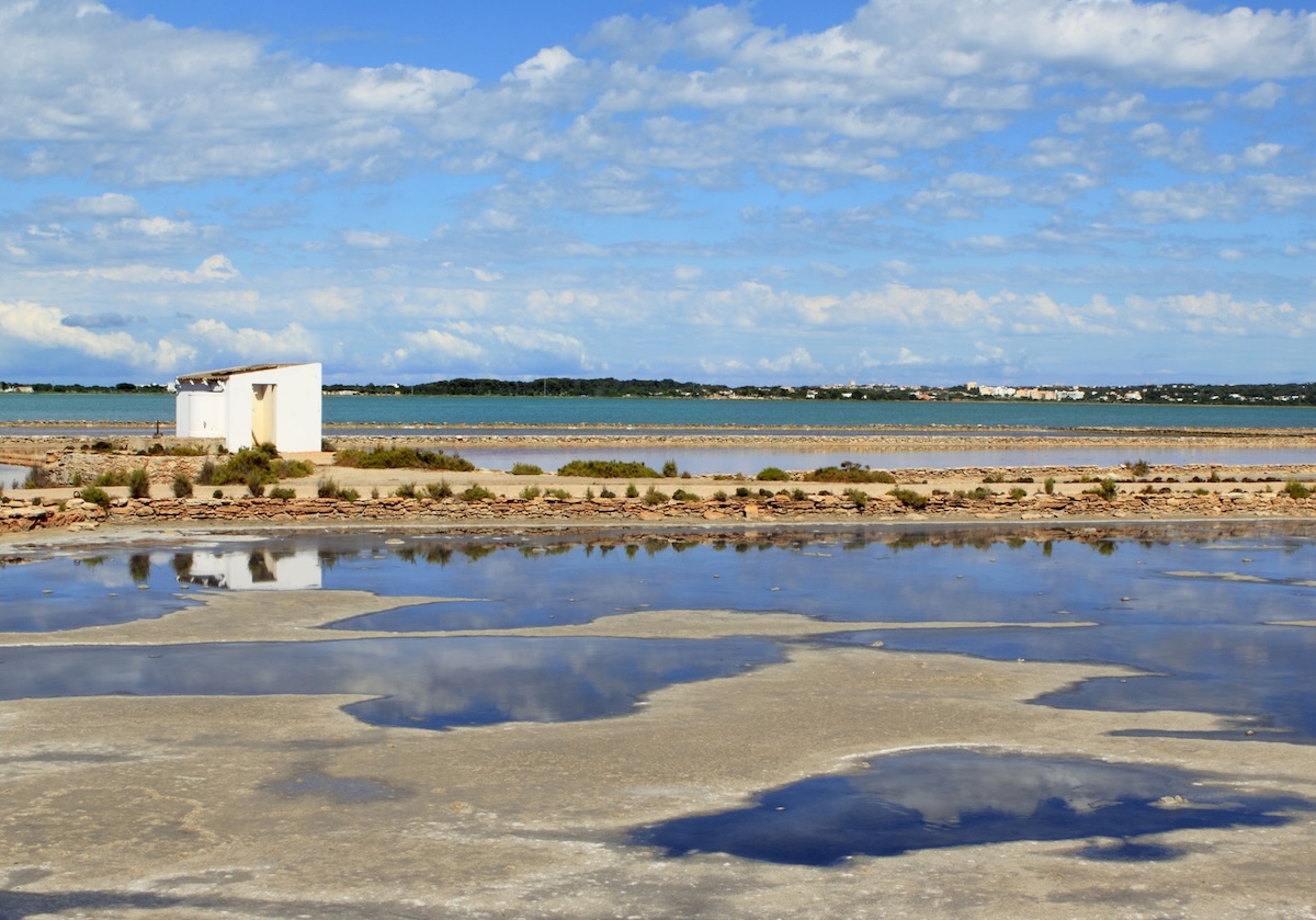 Ses Salines