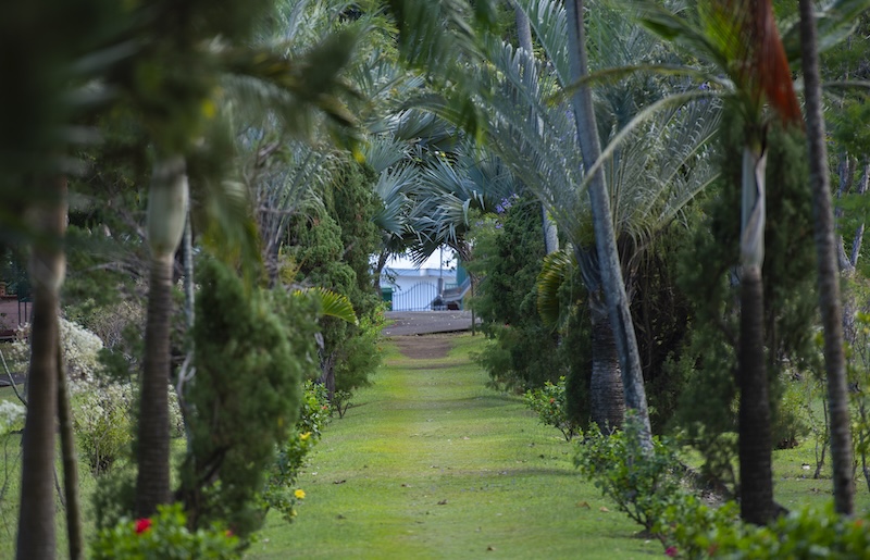 Botanische Tuinen van St. Vincent en de Grenadines