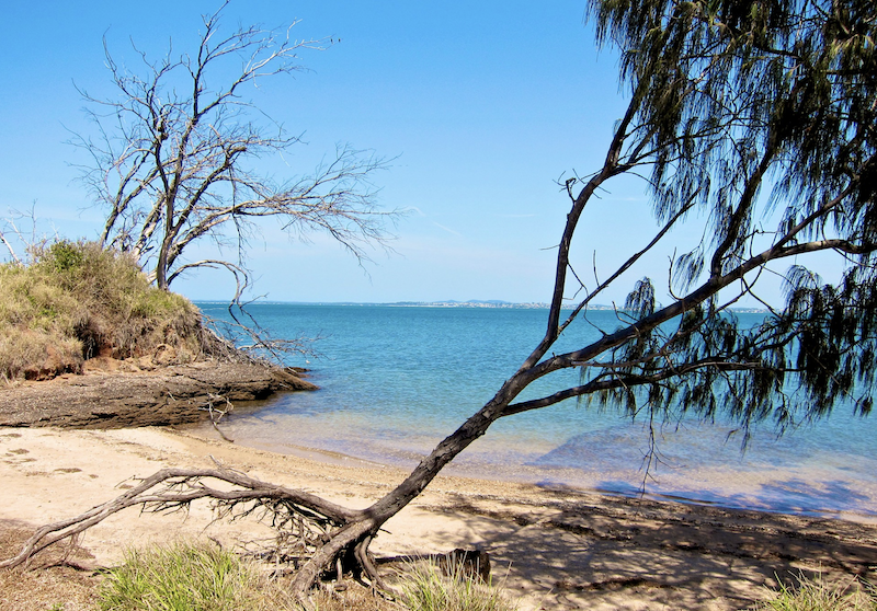 St Helena Island Park