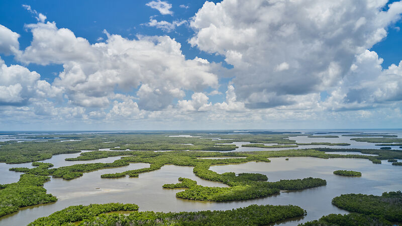 Everglades