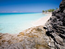 Een tour door Bimini, het eiland van legendes op de Bahama's