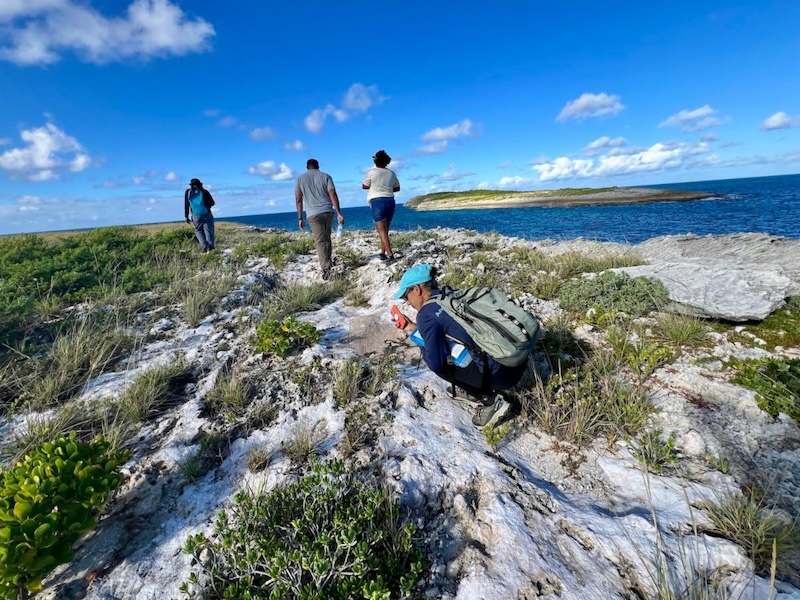 Prickly Pear Island