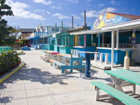 Waarom je een klassieke Bahamian Fish Fry het proberen