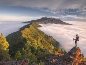 La Palma: een eersteklas biosfeerreservaat