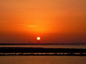 10 redenen waarom Yas Island op je bucketlist zou moeten staan