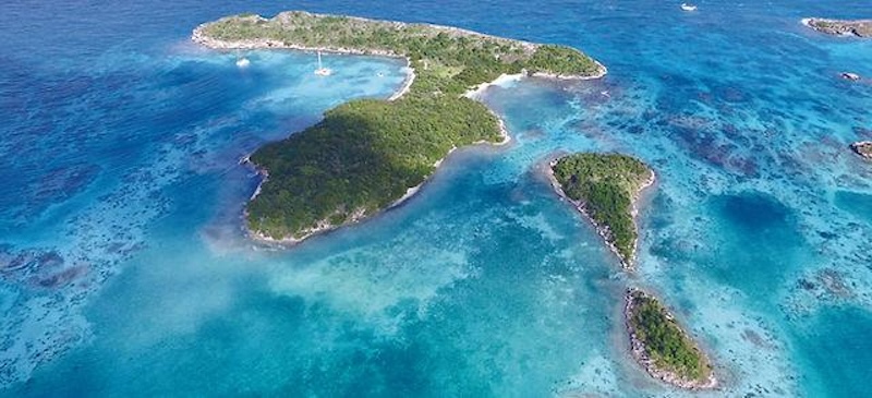 Great Bird Island