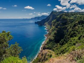 4 bijzondere quinta’s op Madeira