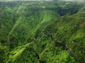 Natuurlijke schatten van Mauritius: de fascinerende nationale parken