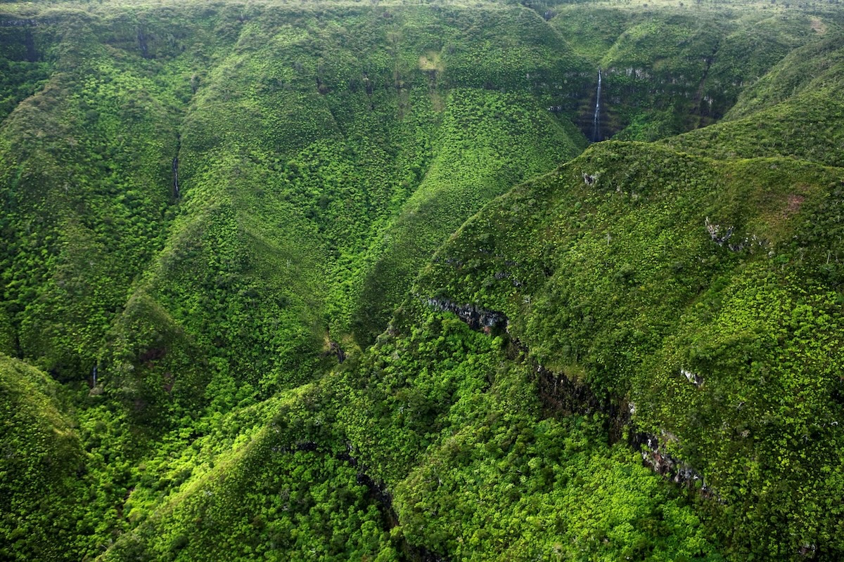 Natuurlijke schatten van Mauritius: de fascinerende nationale parken