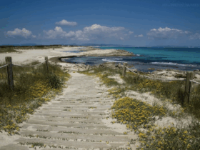 Welk type Balearen vakantieganger bent jij?