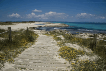 Welk type Balearen vakantieganger bent jij?
