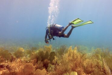 Duiken op Anguilla: ontdek het onderwaterparadijs