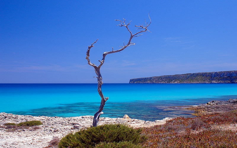 Cala en Baster