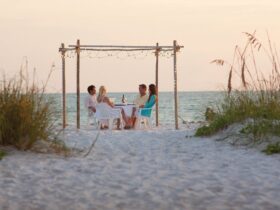 Culinaire Eilanden – Een reis door de keuken van Anna Maria Island en Longboat Key