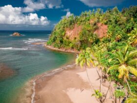 Dominica: 10 weinig bekende troeven van deze natuurbestemming
