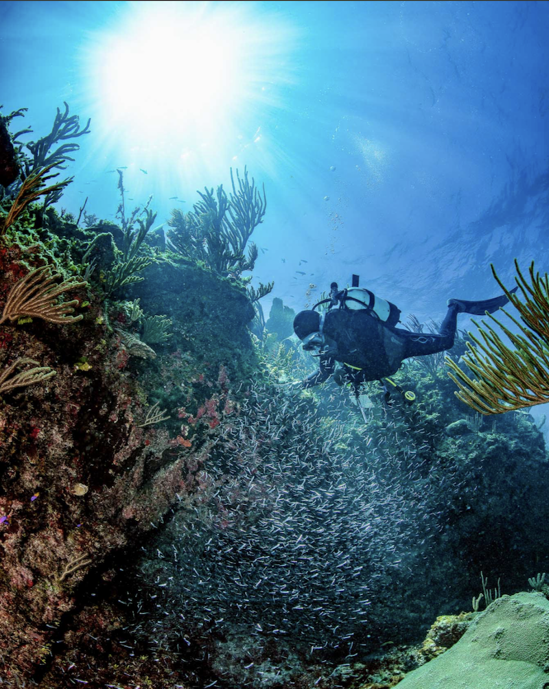 duiken San Salvador Bahamas