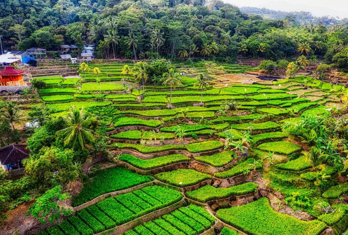Feitencheck: Duurzaam reizen