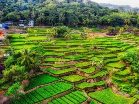 Feitencheck: Duurzaam reizen