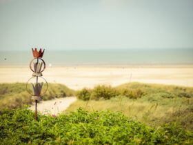 Juist – Het bijzondere eiland in het ritme van de getijden