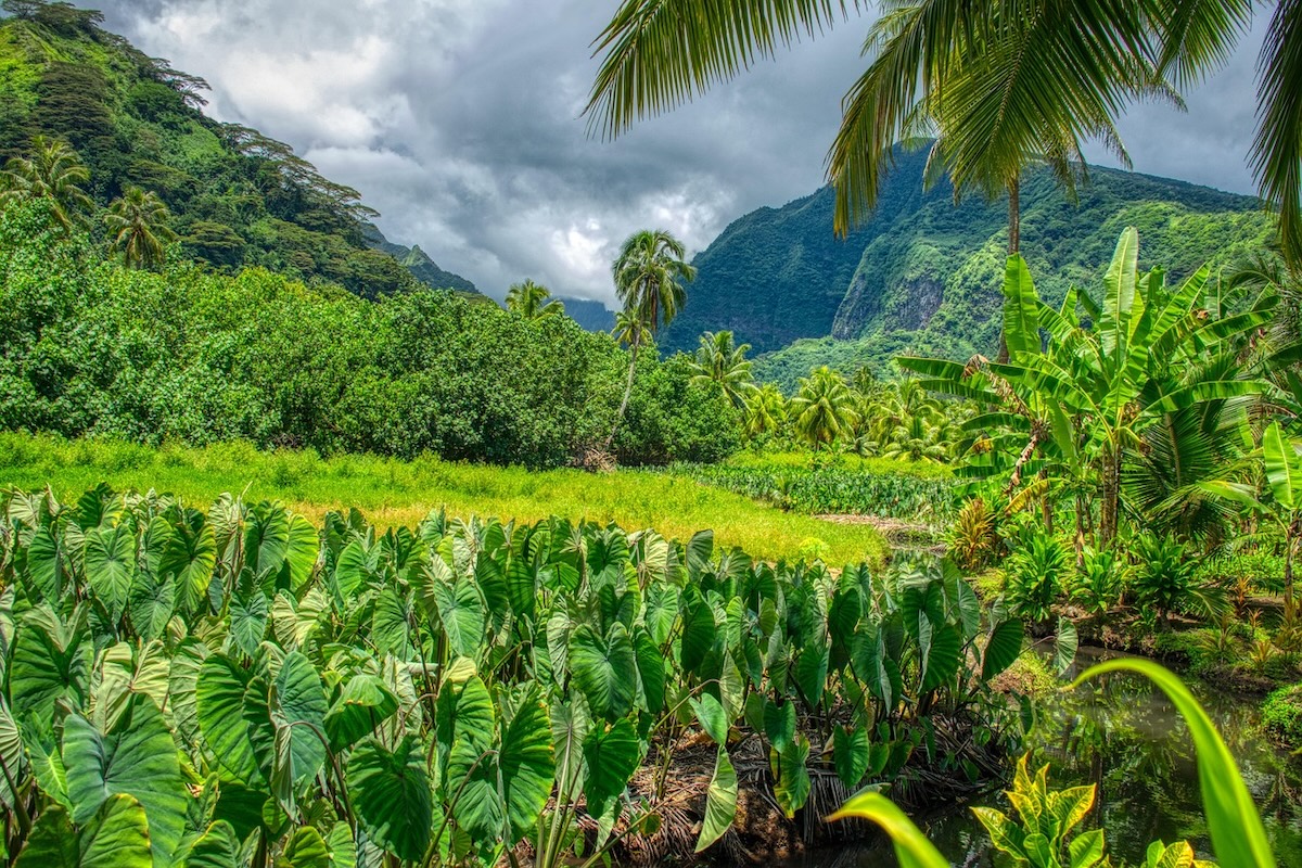 De Tahiti-eilanden te voet, langs paden die verhalen vertellen