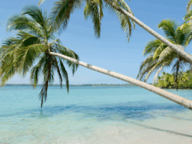 Ontdek Bocas del Toro, Panama: de archipel die de Caraïben ademt