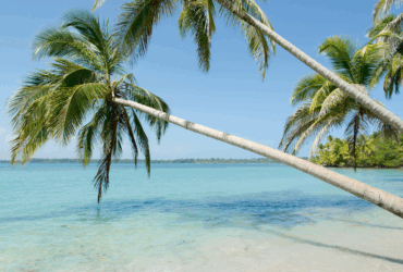 Ontdek Bocas del Toro, Panama: de archipel die de Caraïben ademt