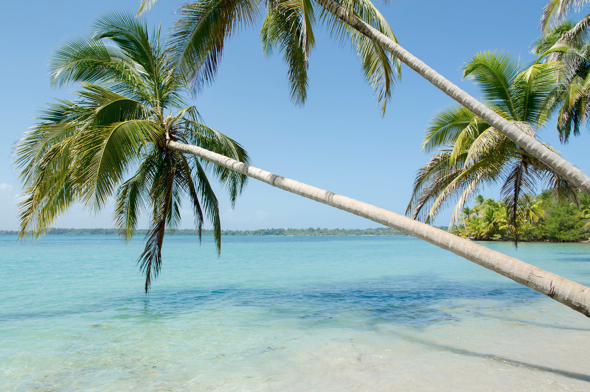 Ontdek Bocas del Toro, Panama: de archipel die de Caraïben ademt