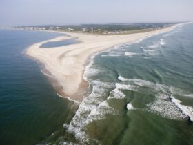 Vijf manieren om van de natuurlijke schoonheid van Bald Head Island te genieten