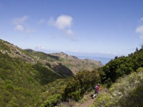 De vijf mooiste wandelroutes op Tenerife!